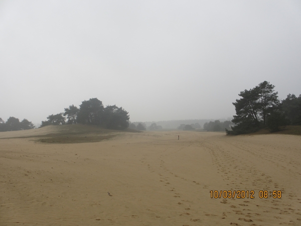 Wekeromsezand, 10 maart 2012 028
