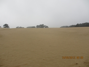 Wekeromsezand, 10 maart 2012 024