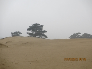 Wekeromsezand, 10 maart 2012 025