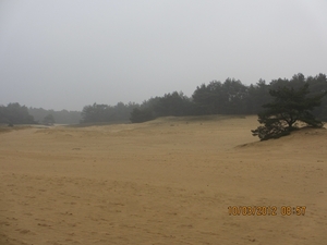 Wekeromsezand, 10 maart 2012 026