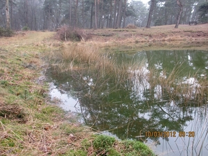 Wekeromsezand, 10 maart 2012 043