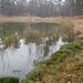 Wekeromsezand, 10 maart 2012 042