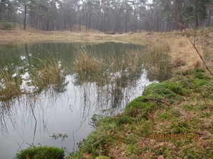 Wekeromsezand, 10 maart 2012 042