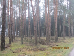Wekeromsezand, 10 maart 2012 051