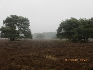 Wekeromsezand, 10 maart 2012 054