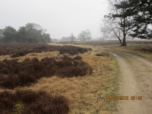 Wekeromsezand, 10 maart 2012 055
