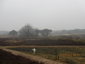 Wekeromsezand, 10 maart 2012 063