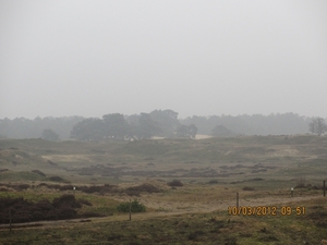 Wekeromsezand, 10 maart 2012 064