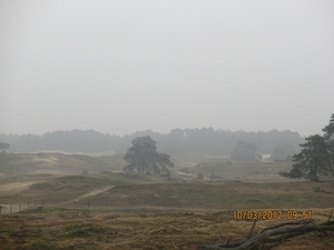 Wekeromsezand, 10 maart 2012 065