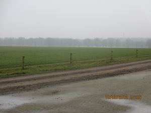 Wekeromsezand, 10 maart 2012 070