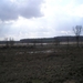 Bijna venen landschap in de kempen