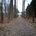 De nieuwe speeltuin van NP.
