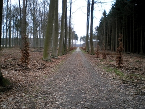 De nieuwe speeltuin van NP.