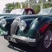 Jaguar XK 120