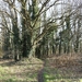 Mechelen Maart 2012 002