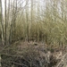 Mechelen Maart 2012 005