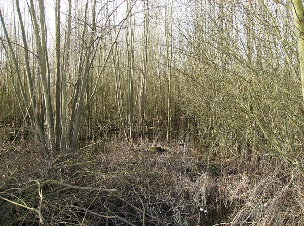 Mechelen Maart 2012 005