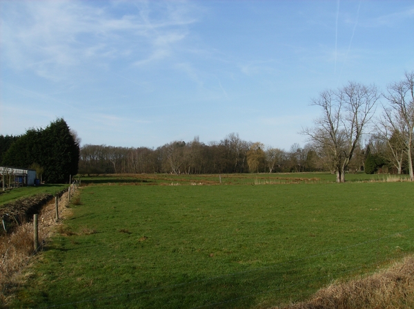 Mechelen Maart 2012 006