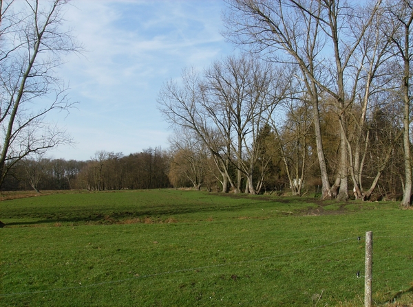 Mechelen Maart 2012 007