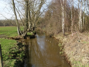 Mechelen Maart 2012 008
