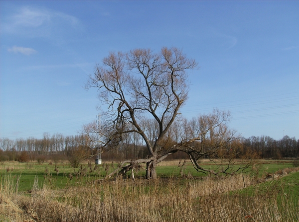 Mechelen Maart 2012 013