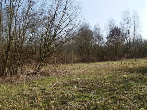 Mechelen Maart 2012 016