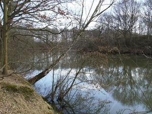 Mechelen Maart 2012 022