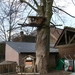 Mechelen Maart 2012 024