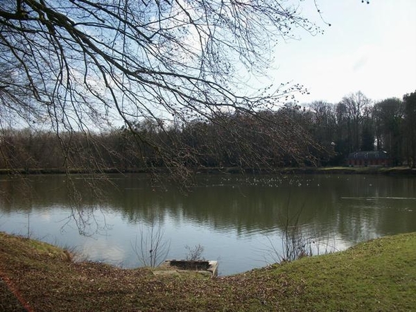 050-Vijvers in Edingen park