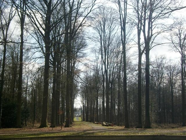 062-Park en Zevenster in de verte-Edingen