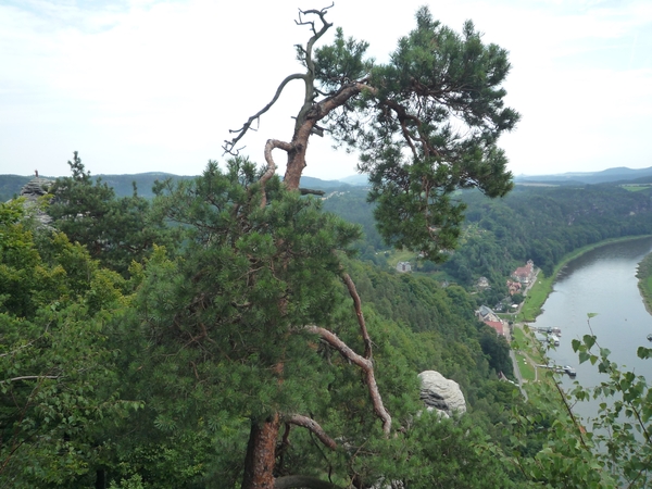 1B Sachsische Schweiz, Bastei _P1120652