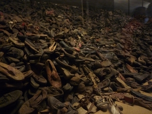 3B Auschwitz, _P1120882