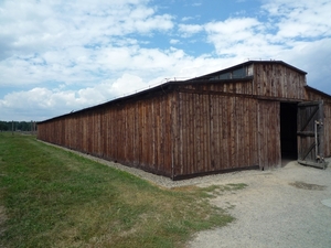 3B Auschwitz-Birkenau, _P1120966