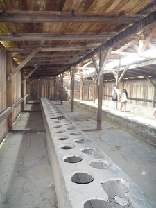 3B Auschwitz-Birkenau, _P1120970