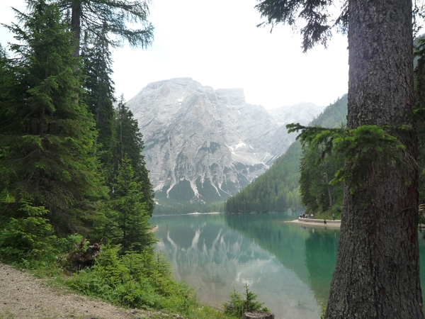 5  Pragser Wildsee _P1120473