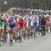 Nokere Koerse 14-3-2012 157