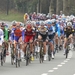 Nokere Koerse 14-3-2012 159