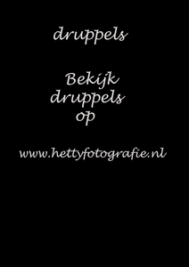 druppels