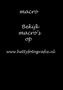 macro