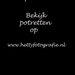 portret
