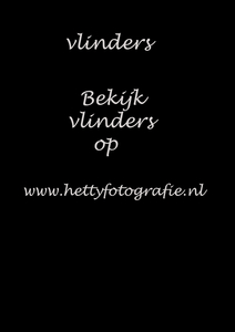 vlinders