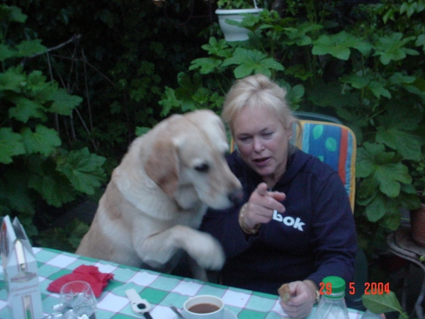 DSC02917