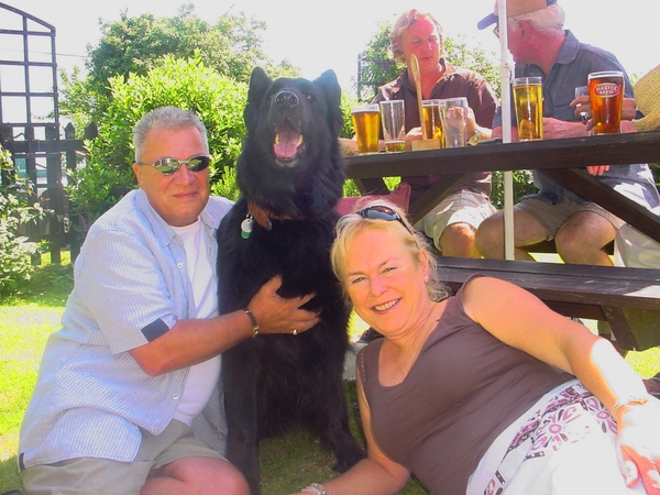hond