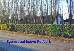 egemstraat patfoort