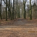 WS Maarn,17 maart 2012 035