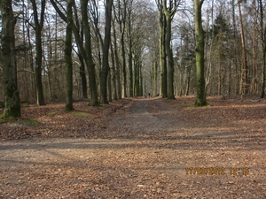 WS Maarn,17 maart 2012 035