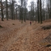 WS Maarn,17 maart 2012 040