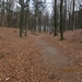 WS Maarn,17 maart 2012 041