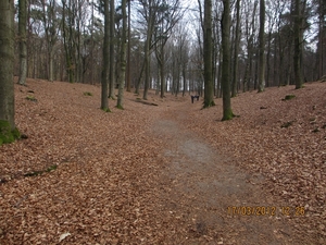 WS Maarn,17 maart 2012 041