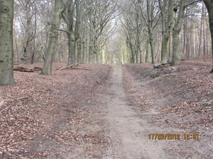 WS Maarn,17 maart 2012 043